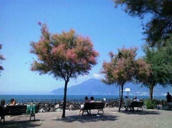 B&B Sul Mare Salerno Eksteriør billede
